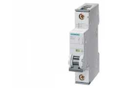 ���T�Ӕ�·��,��̖5SY61016CC,�֔�����6kA,�O��1P,�~�����1A